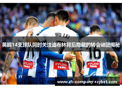 英超14支球队同时关注迪布林背后隐藏的转会谜团揭秘 英超14支球队同时关注迪布林背后隐藏的转会谜团揭秘