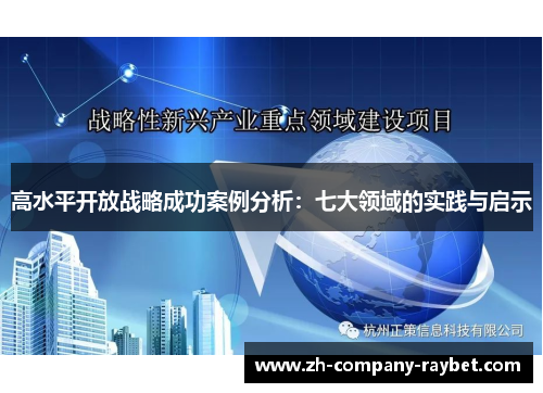 高水平开放战略成功案例分析：七大领域的实践与启示